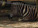 dscn1025.jpg