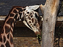 dscn1026.jpg