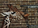 dscn1027.jpg