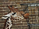 dscn1028.jpg