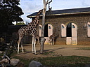 dscn1029.jpg