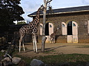 dscn1030.jpg