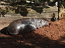 dscn1031.jpg
