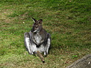 dscn1033.jpg