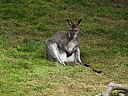 dscn1034.jpg