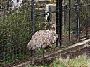 dscn1035.jpg