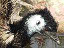 dscn1039.jpg