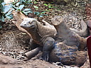 dscn1040.jpg