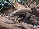 dscn1041.jpg