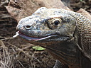 dscn1042.jpg