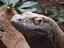 dscn1043.jpg
