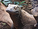 dscn1045.jpg