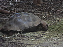 dscn1046.jpg