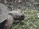 dscn1047.jpg