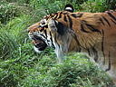 dscn1049.jpg