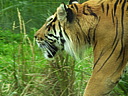 dscn1052.jpg