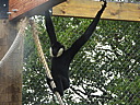 dscn1056.jpg