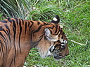 dscn1059.jpg