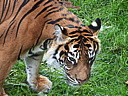 dscn1061.jpg