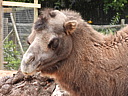 dscn1067.jpg
