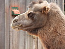 dscn1068.jpg