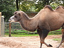 dscn1070.jpg