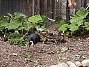 dscn1078.jpg
