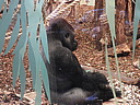 dscn1081.jpg