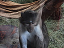 dscn1083.jpg