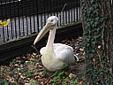 dscn1086.jpg