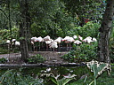 dscn1088.jpg