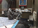 dscn1090.jpg