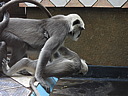 dscn1091.jpg