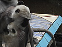 dscn1092.jpg