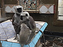 dscn1093.jpg