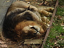 dscn1095.jpg