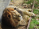 dscn1096.jpg