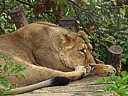 dscn1099.jpg