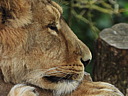 dscn1100.jpg