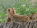 dscn1102.jpg
