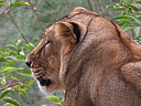 dscn1103.jpg