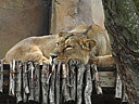 dscn1104.jpg
