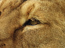 dscn1106.jpg