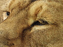 dscn1108.jpg