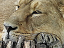 dscn1109.jpg