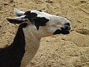 dscn1110.jpg
