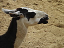 dscn1111.jpg