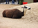 dscn1112.jpg