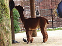 dscn1113.jpg