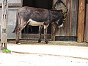 dscn1114.jpg